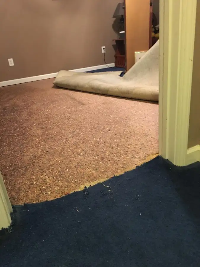 Carpet pad removal revealing water damage during Water Mitigation Services in Westtown